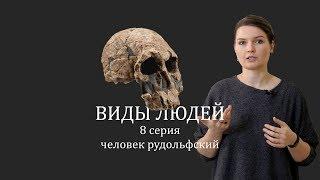 ВИДЫ ЛЮДЕЙ. 8 серия Человек рудольфский. Елена Сударикова