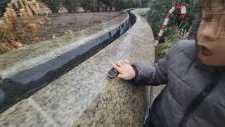 Detroit Street Fingerboarding Christmas 2021