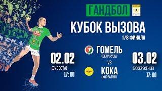 190203 ZRK Koka vs. HC Gomel