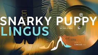 Snarky Puppy / Lingus / vinyl / Ortofon 2MBlack + Pioneer SX1980