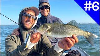 Topwater Sea Bass Fishing from the Boat in an Italian Lagoon - Lots of Explosions and Catches [C&R]