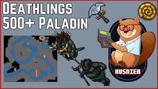 Deathlings | 500+ Paladin | Tibia