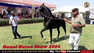 RANSI HORSE SHOW 2024 l Jaisa Stud रणसी गाँव की शान Beautiful Stallion Parsen