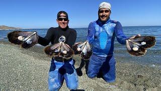 MASSIVE *SCALLOPS* in MEXICO Catch Clean and Cook BlueGabe Style