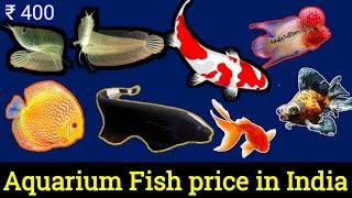 Aquarium fish price in india || New Fish Ka maal Ayaa hai - NEW MILAN AQUARIUM