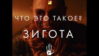 Зигота - что это такое? / Oats Studios - What is Zygote (русский язык) BadBajo