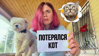 влог: ПОТЕРЯЛСЯ СЛАДУНЯ! САМЫЙ ЛЮБИМЫЙ КОТ БЕЗ ЛАПКИ 