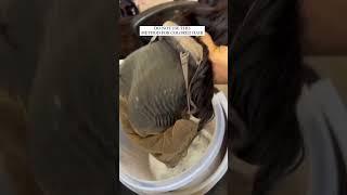 Detail Tips for take off the lace wigs Glue #worldnewhair #tutorials #fypage #shorts #humanhair