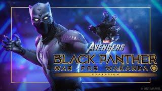 Black panther war for wakanda full story