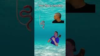 Biedne rybki  #mellstroy #glavstroy # #funny #memes #fishing #fish #family #water #friends #humor