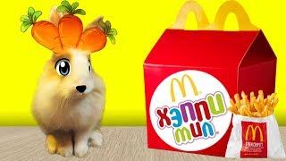 McDonalds and Rabbit Buffy tries Happy Meal at McDray / Common Food vs. Vegetable!