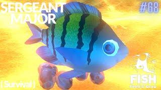 Feed And Grow Fish : Sergeant Major (Survival)