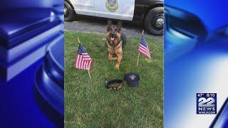 Retired Springfield K-9 Hunter passes away