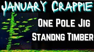 One Polling January Crappie on Truman Lake | Livescope