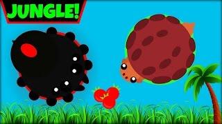 MOPE.IO JUNGLE BIOME | ALL JUNGLE ANIMAL IDEAS | MOPE.IO NEW UPDATE(Mope.io)