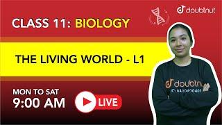 THE LIVING WORLD |NCERT Exercise Questions| Class 11 Biology  | 9 AM By Ankita Ma'am | L1 | Doubtnut