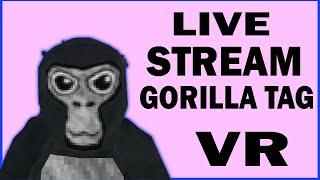 GORILLA TAG LIVE STREAM WITH VIEWERS!