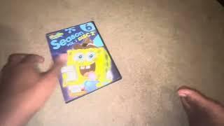 SpongeBob SquarePants! DVD collection (2002-2024) an a Stephen Hillenberg tribute