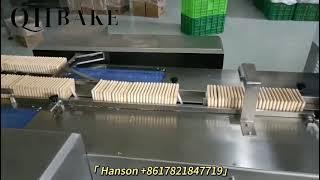 Biscuit Packing Machine with no Tray inside