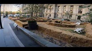 WE'RE STACKED! Hay Stacks Come to City Hall in Philadelphia for Hay Maze Days thru Oct. 27, 2024.