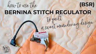 How to Use the BSR Bernina Stitch Regulator to Free Motion Quilt a Cute Meandering Design (tutorial)