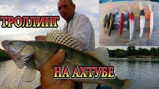 ТРОЛЛИНГ НА АХТУБЕ.  ЛОВЯТ ВСЕ!!!