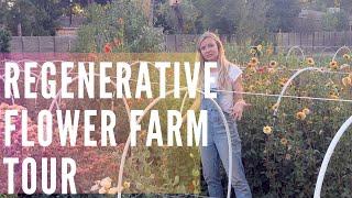 A tour of our regenerative flower farm!