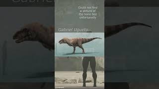 The small tyrant that could have been  #dinosaur #paleontology #educational #gaming #dinoscience