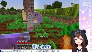 Aka-chan got a new shield from Korone