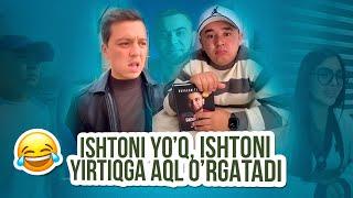 Mittivine | Ishtoni yo`q, ishtoni yirtiqga aql o`rgatadi 