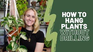 How to hang plants without drilling 🪝| Renter friendly tips