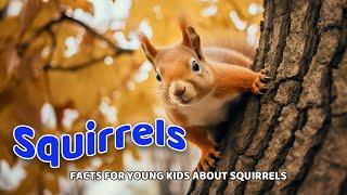 Squirrels ️ Fun Facts for Little Explorers