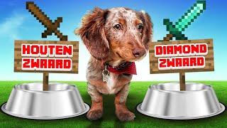 PUPPY OLLIE BEPAALT MIJN MINECRAFT POTJE!