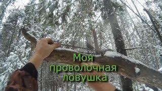 Моя проволочная ловушка