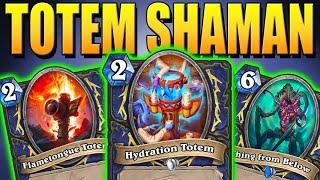 Is Totem Shaman Back?!