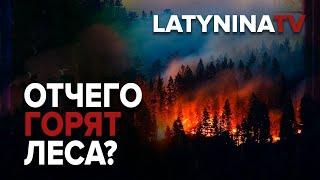 Юлия Латынина /Разбираем: Отчего горят леса?/ wildfires / LatyninaTV /