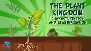 The Plant Kingdom: Characteristics and Classification | Educational Videos for Kids