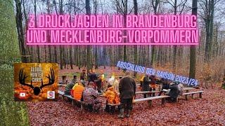 3 Drückjagden in Brandenburg und Mecklenburg-Vorpommern , Drückjagd-Journal Folge 8/23