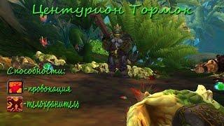 WoW:Спасение соратника 83 уровня " Тормок "