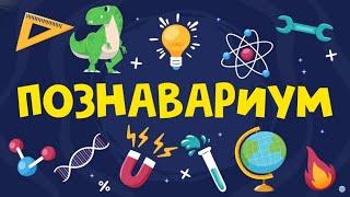 Познавариум. Мохнатые и усатые