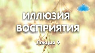 Софоос. Лекция 9. Иллюзия восприятия