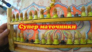 ОТБИРАЮ МАТОЧНИКИ ИЗ ВОСПИТАЛКИ, информация по ПЛДННЫМ и НПЛОДНЫМ маткам