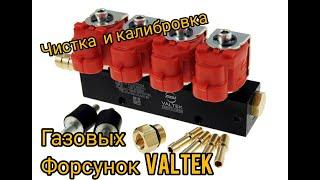 Чистка и калибровка газовых форсунок VALTEK