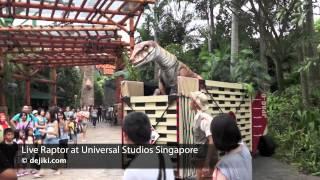 Live Raptor at Jurassic Park, Universal Studios Singapore | dejiki.com