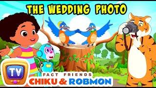 Fact Friends Chiku & Robmon S1E3 - The Wedding Photo - Fun Facts For Kids - ChuChu TV Storytime