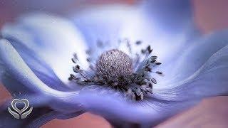 Reiki to Relieve Exam Stress & Anxiety | Energy Healing