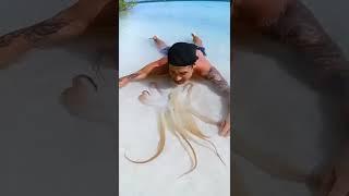 Rare Octopus On Tropical Beach #shorts