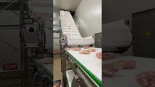Banda en Z para salida de IQF - Ruzo ingenieria
