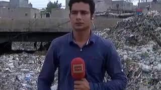 Pakistani funny reporter. Cow hitting reporter. Anday wala burger