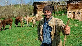Village Life in Spring | Documentary Film